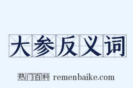 大参反义词是什么意思的图片